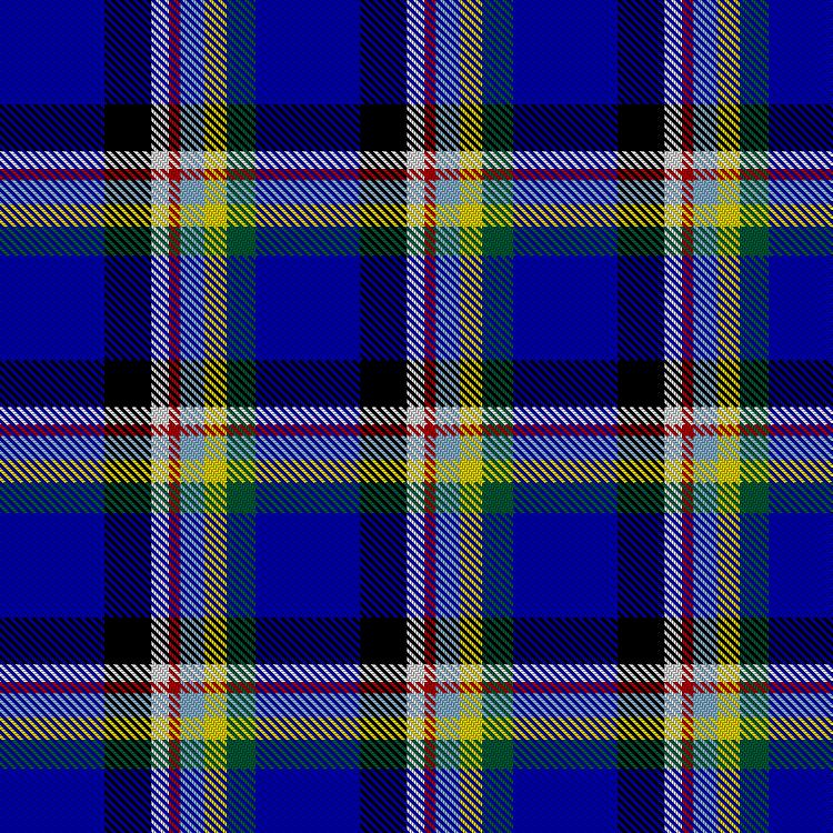 Tartan image: Bagnulo, Marinella LaVecchia (Personal). Click on this image to see a more detailed version.