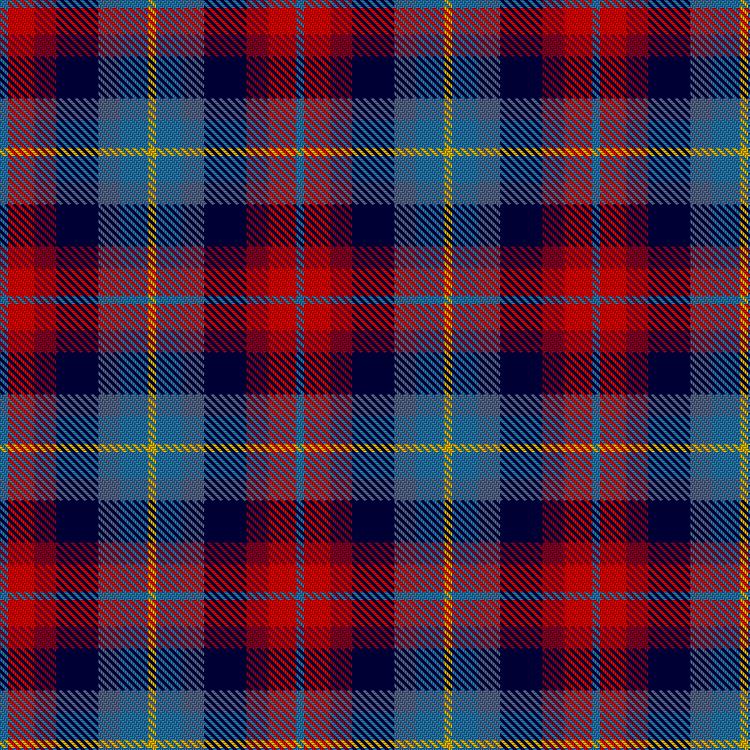 Tartan image: McKaylin, S & E and Family (Personal). Click on this image to see a more detailed version.