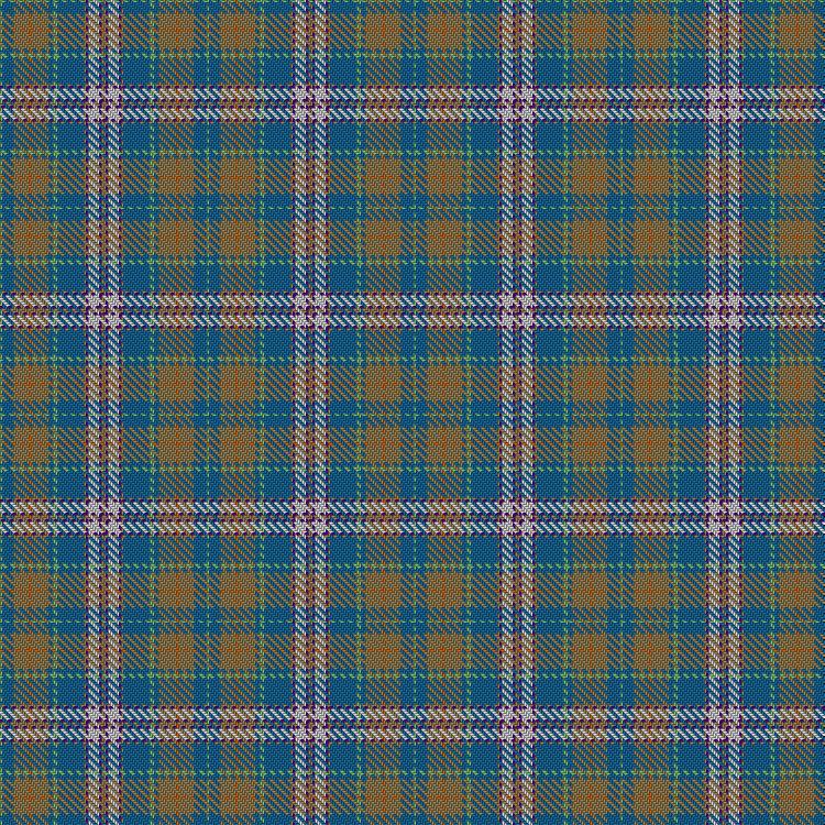 Tartan image: Murton Trust. Click on this image to see a more detailed version.