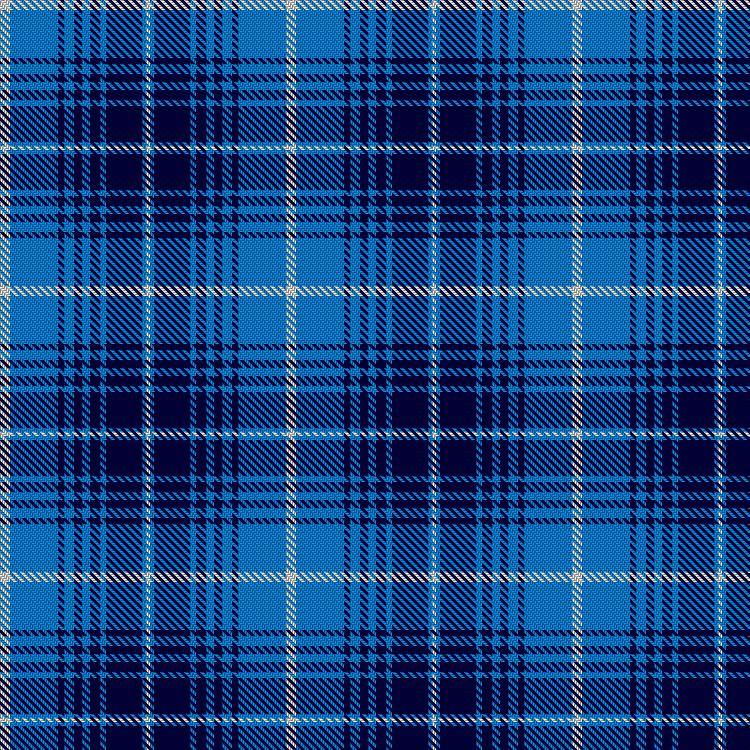 Tartan image: Scottish Arbitration Centre. Click on this image to see a more detailed version.