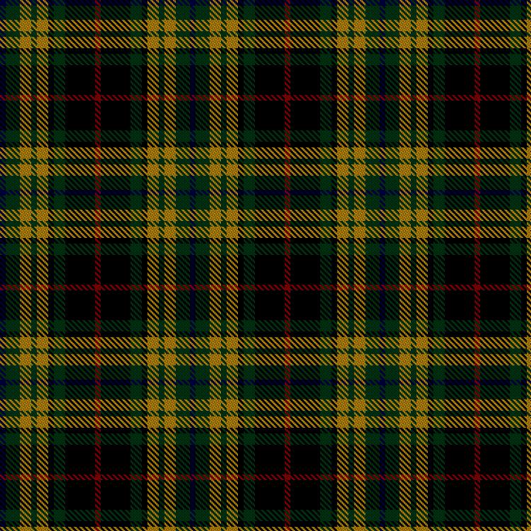 Tartan image: Gauthier-Delanghe, Tristan & Laura and Family (Personal). Click on this image to see a more detailed version.