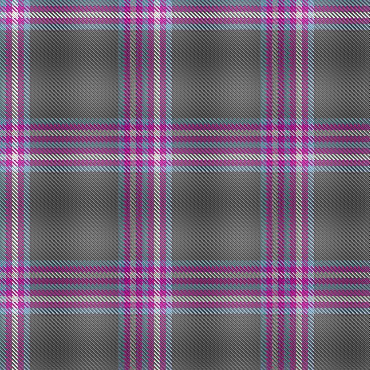 Tartan image: Kilted Bros - Transgender Pride. Click on this image to see a more detailed version.