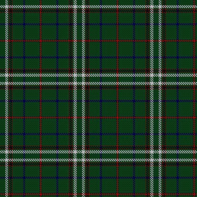Tartan image: Guzman, R (Personal). Click on this image to see a more detailed version.