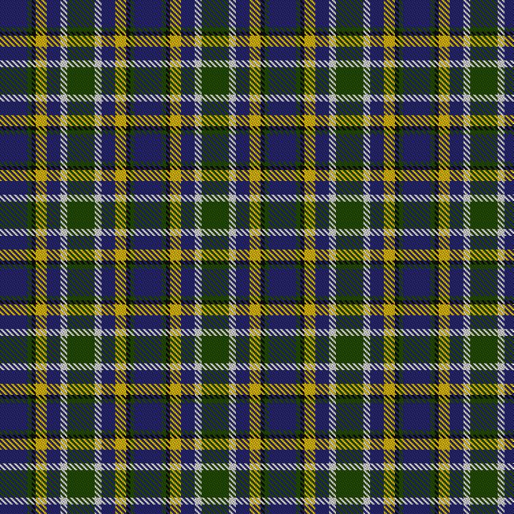 Tartan image: FLMLT. Click on this image to see a more detailed version.