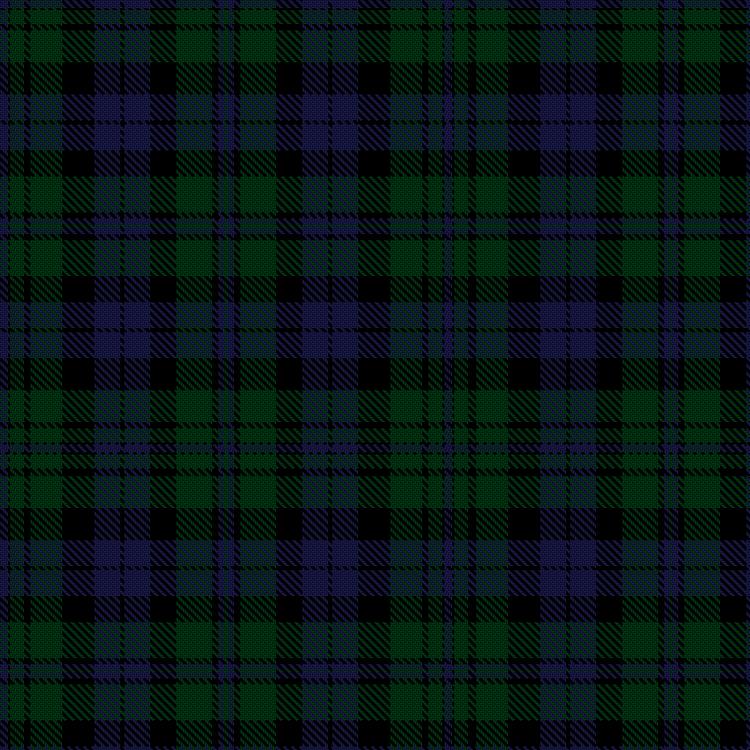 Tartan image: Lorimer, A & Smith, M - Wedding (Personal). Click on this image to see a more detailed version.