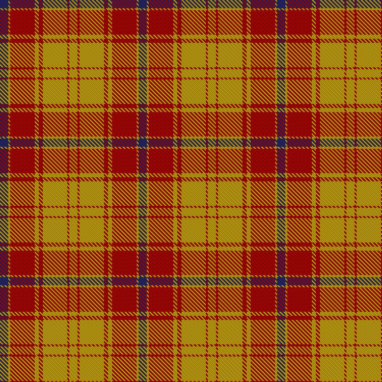 Tartan image: Glassary #3. Click on this image to see a more detailed version.