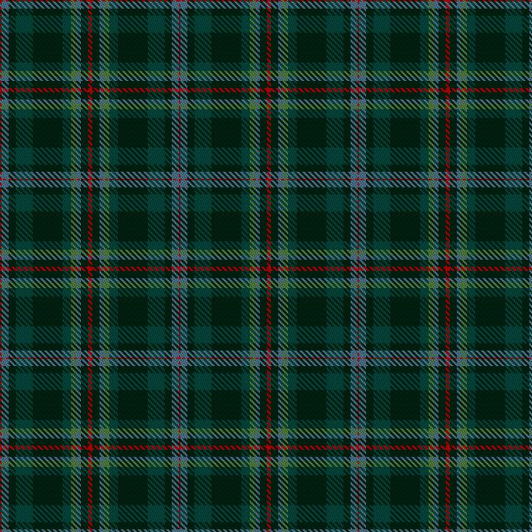 Tartan image: Chan, A & Family (Personal). Click on this image to see a more detailed version.