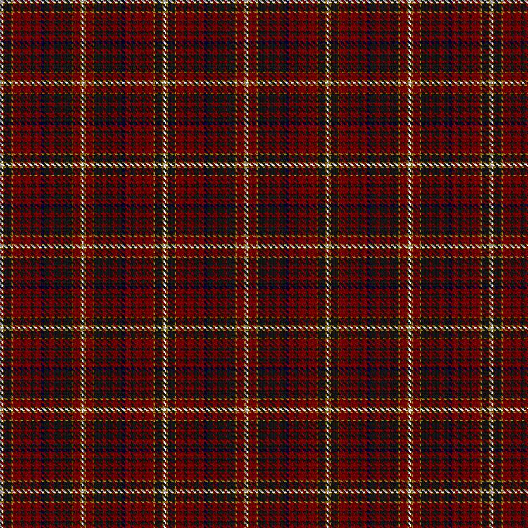 Tartan image: Joffraud, Yann (Personal). Click on this image to see a more detailed version.
