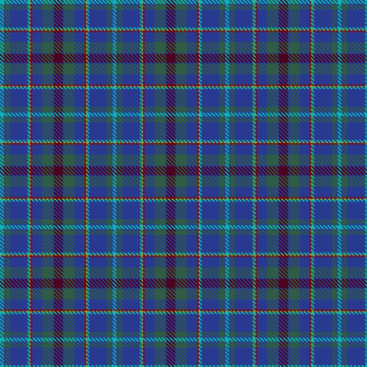 Tartan image: Hardisty, C & Family (Personal). Click on this image to see a more detailed version.