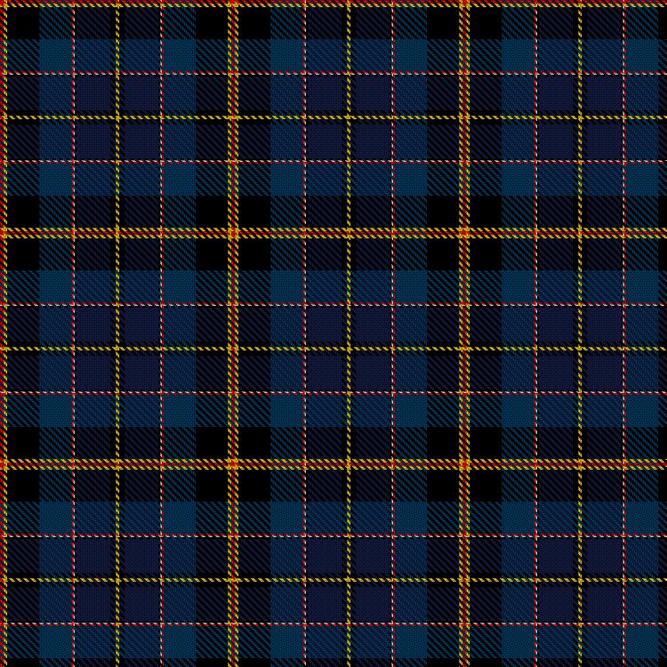 Tartan image: Royal Navy Medical Service. Click on this image to see a more detailed version.