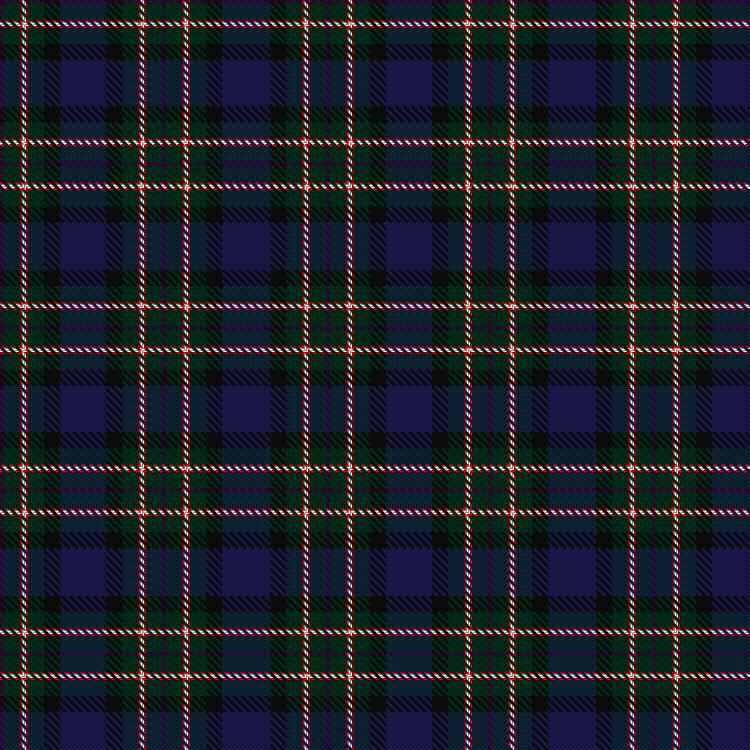Tartan image: Dishkin, Norman & Family (Personal). Click on this image to see a more detailed version.
