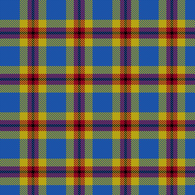 Tartan image: Ellis-Bain, Evan (Personal). Click on this image to see a more detailed version.