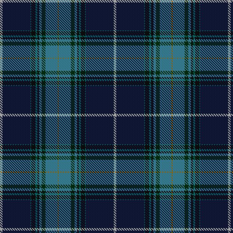 Tartan image: Hail Holy Queen (Salve Regina University). Click on this image to see a more detailed version.