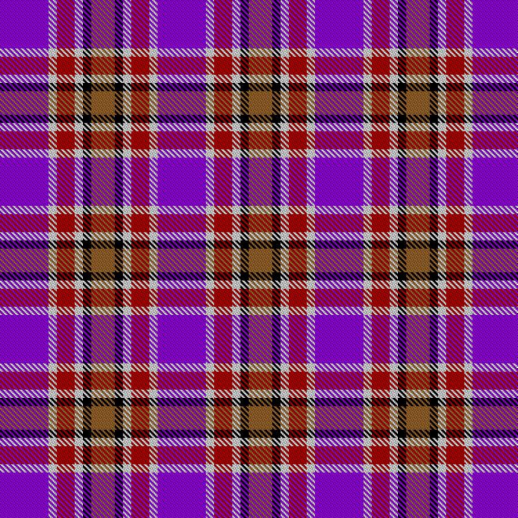 Tartan image: Ellis-Bain, Evan Hunting (Personal). Click on this image to see a more detailed version.