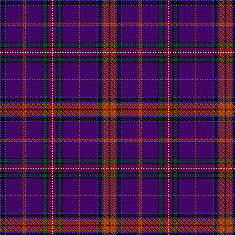 Tartan image: Team No Sleep. Click on this image to see a more detailed version.