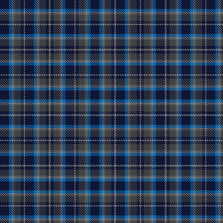 Tartan image: Levey, J and Family (Personal). Click on this image to see a more detailed version.
