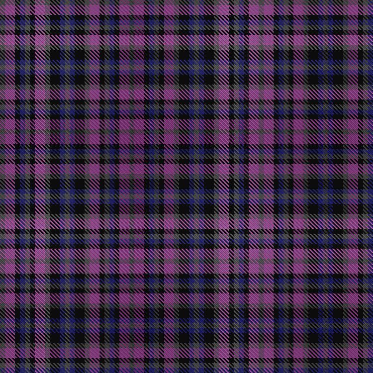 Tartan image: Hunt for Hope Florida. Click on this image to see a more detailed version.