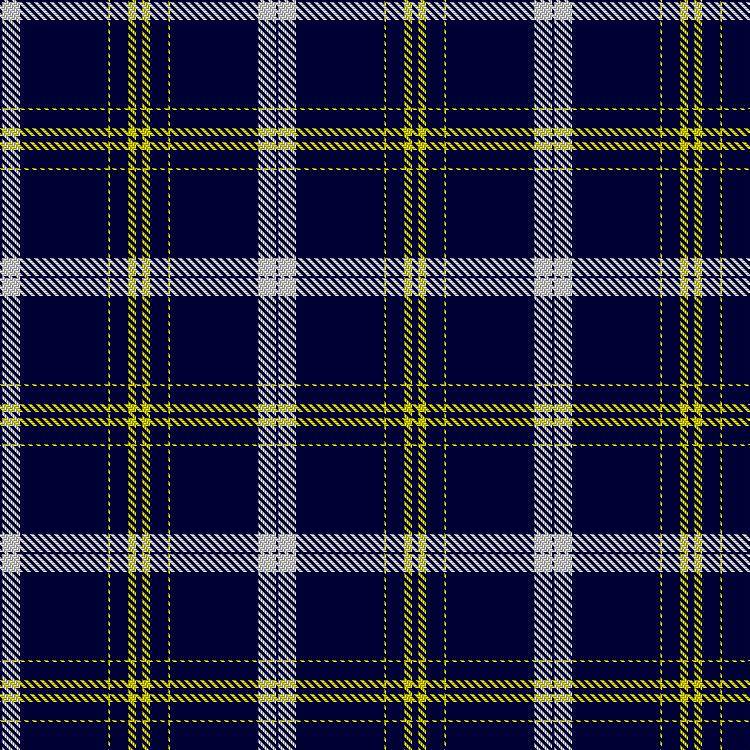 Tartan image: Castle on the Hill. Click on this image to see a more detailed version.