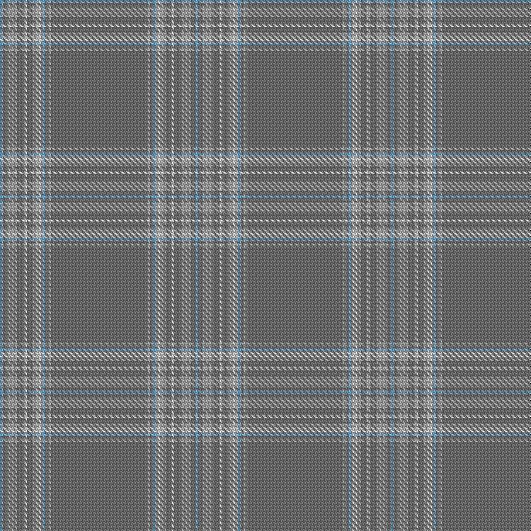 Tartan image: Tourapy Classic. Click on this image to see a more detailed version.