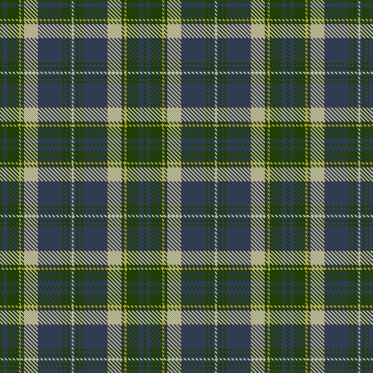 Tartan image: D’Amico, Valeria (Personal). Click on this image to see a more detailed version.