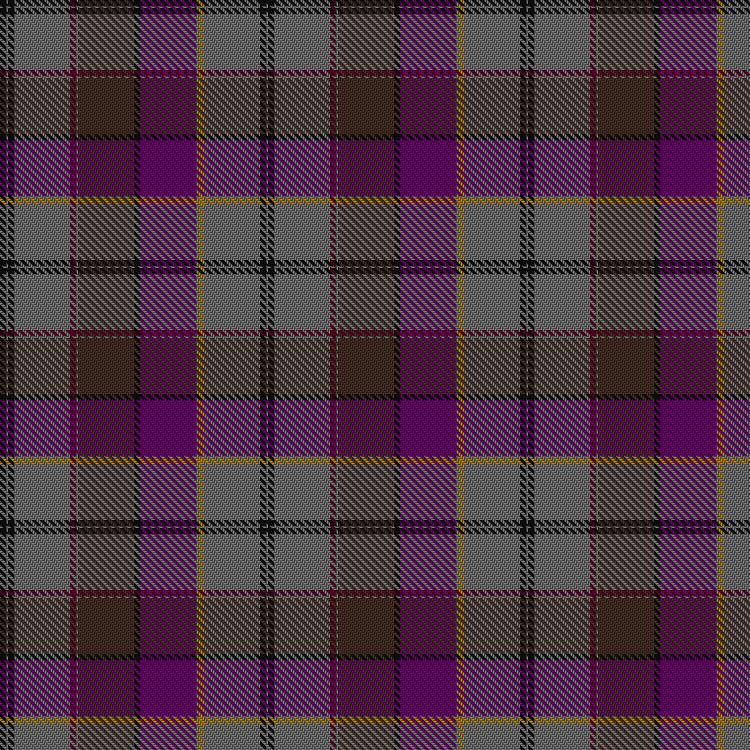 Tartan image: Collier, Patricia (Personal). Click on this image to see a more detailed version.