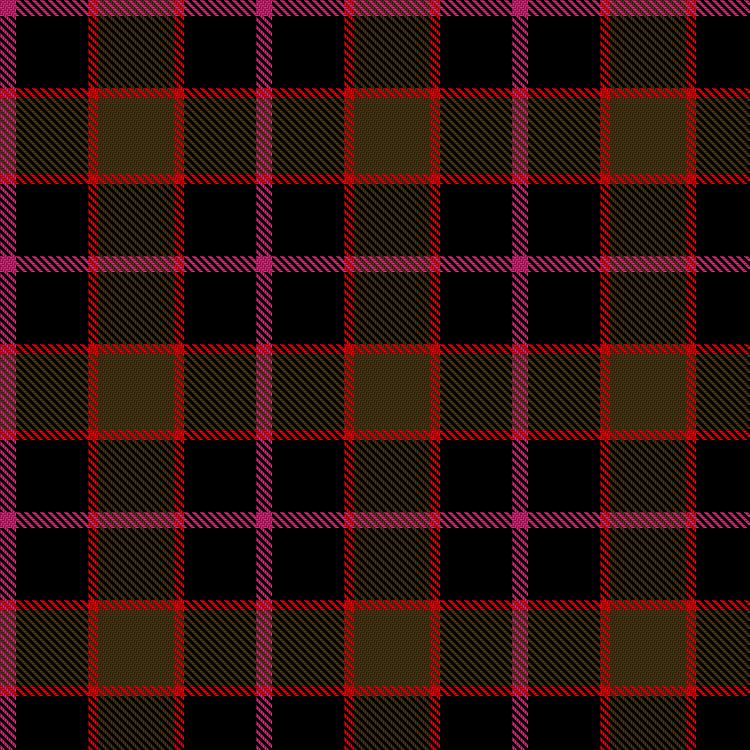 Tartan image: Boronkay, Emily (Personal). Click on this image to see a more detailed version.