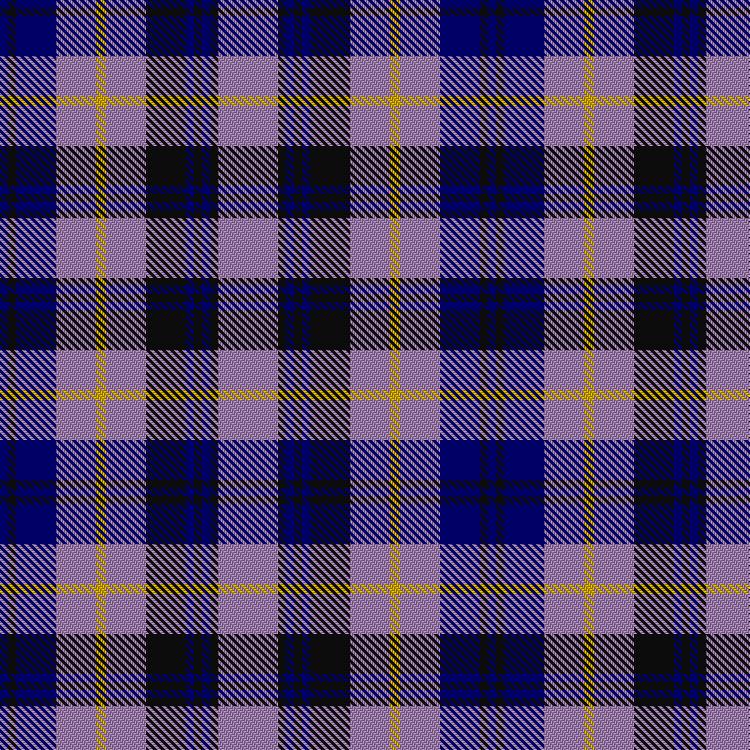 Tartan image: Hewin, David and Lorna (Personal). Click on this image to see a more detailed version.