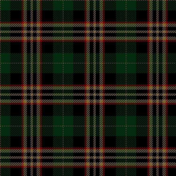 Tartan image: Hernandez de Noda Quintana, Gianna Marie (Personal). Click on this image to see a more detailed version.