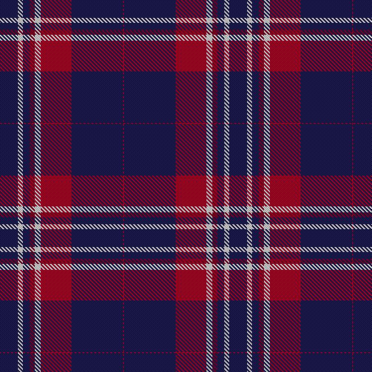 Tartan image: Delta Air Lines. Click on this image to see a more detailed version.