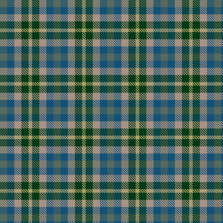 Tartan image: Fèis Ìle. Click on this image to see a more detailed version.