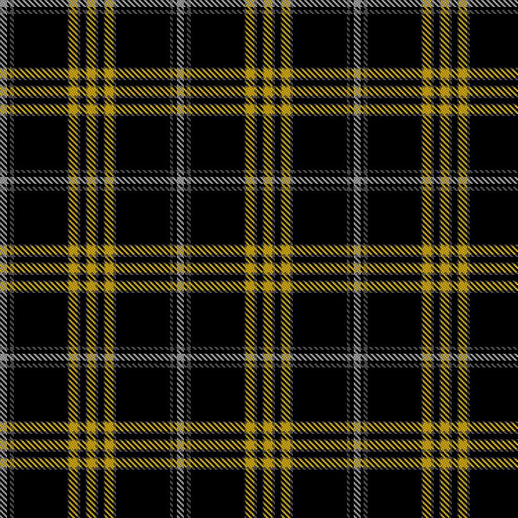Tartan image: Gregg, K and Family Dress (Personal). Click on this image to see a more detailed version.