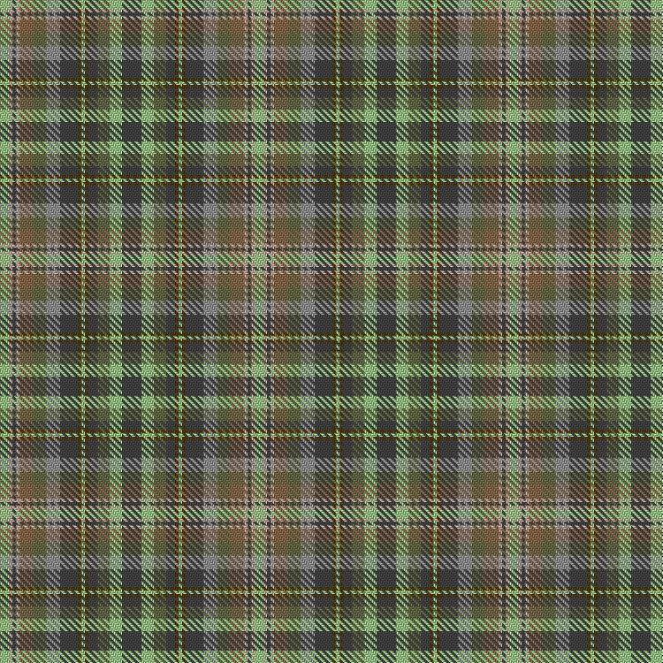 Tartan image: Nala. Click on this image to see a more detailed version.