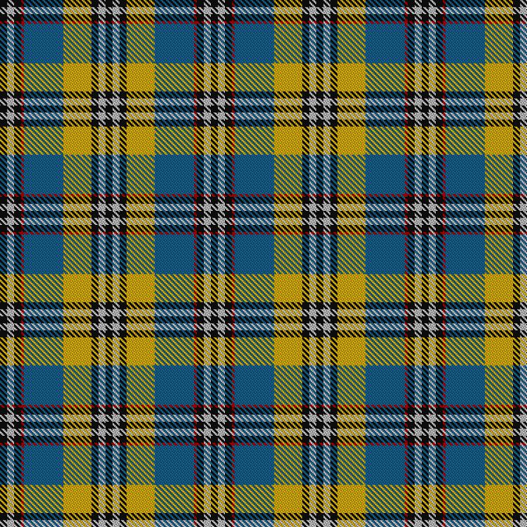 Tartan image: Bruches, Kevin and Family (Personal). Click on this image to see a more detailed version.