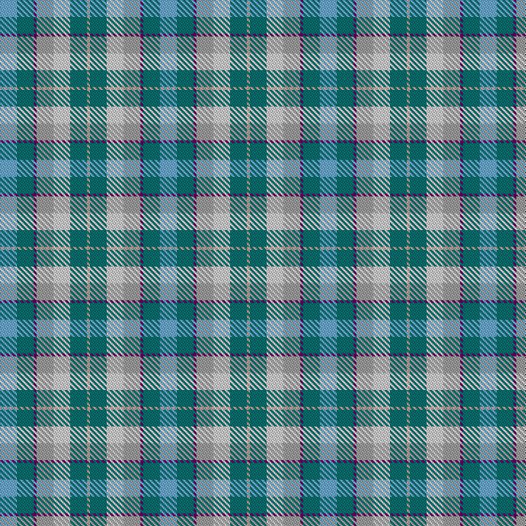Tartan image: Happer V & North M and Family (Personal). Click on this image to see a more detailed version.