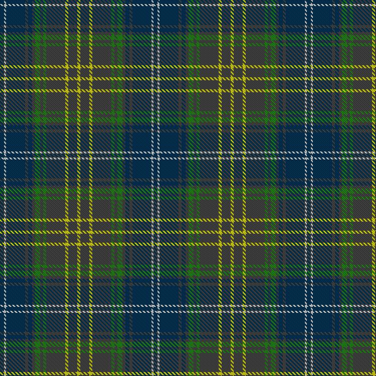 Tartan image: Tomberlin, Roger L and McGrogan, Laura Jean & Family  (Personal). Click on this image to see a more detailed version.