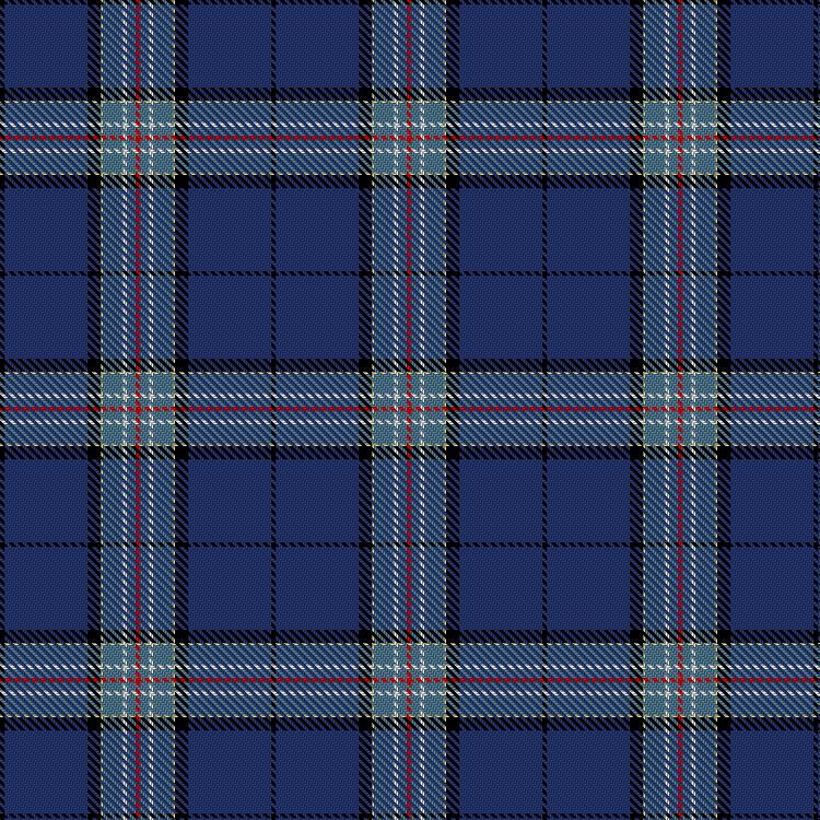 Tartan image: Glasgow Conference Ambassador. Click on this image to see a more detailed version.