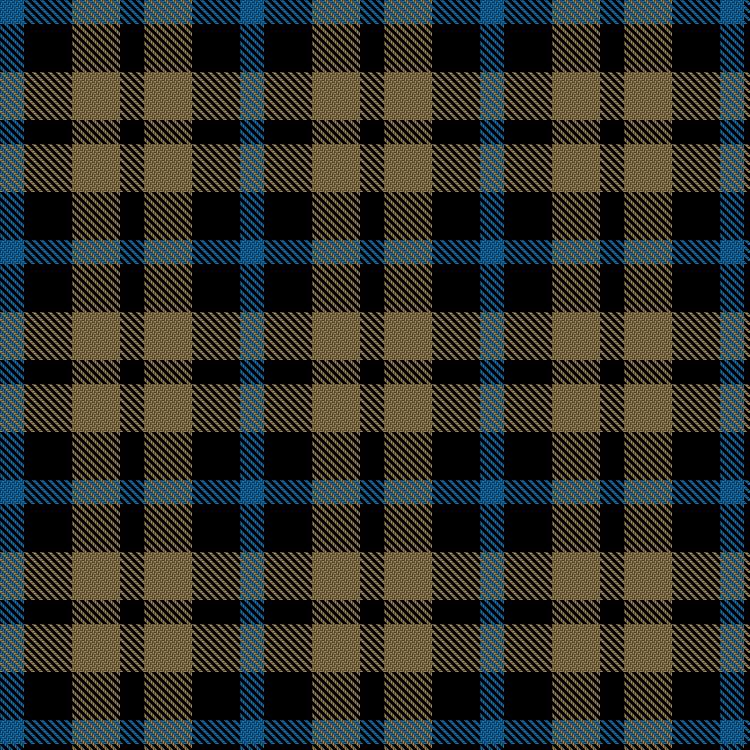 Tartan image: JD the Siamese Cat. Click on this image to see a more detailed version.