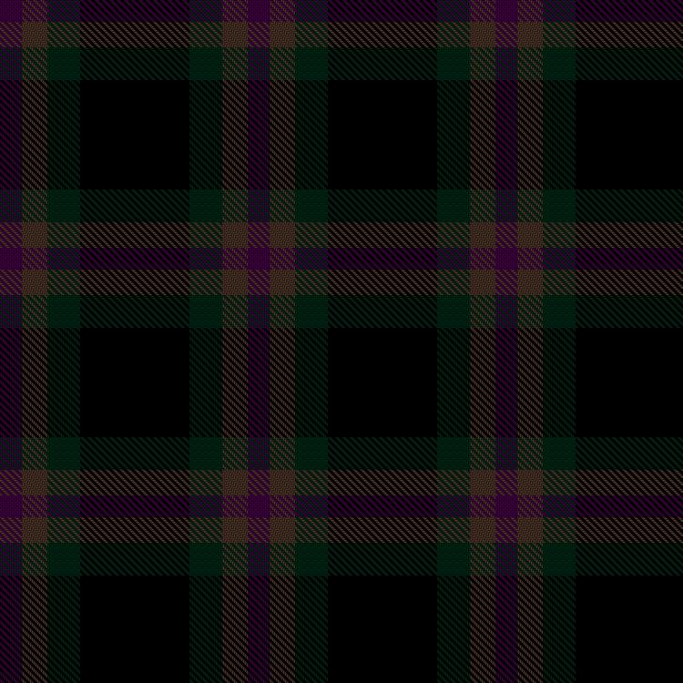 Tartan image: Gleisenberg, Franny Raven Aleen & Family (Personal). Click on this image to see a more detailed version.