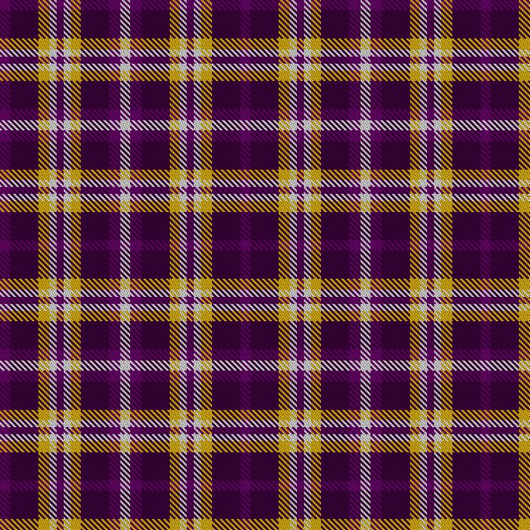 Tartan image: Tennessee Technological University. Click on this image to see a more detailed version.
