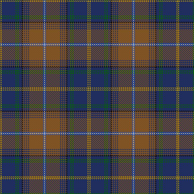 Tartan image: Cowtown. Click on this image to see a more detailed version.