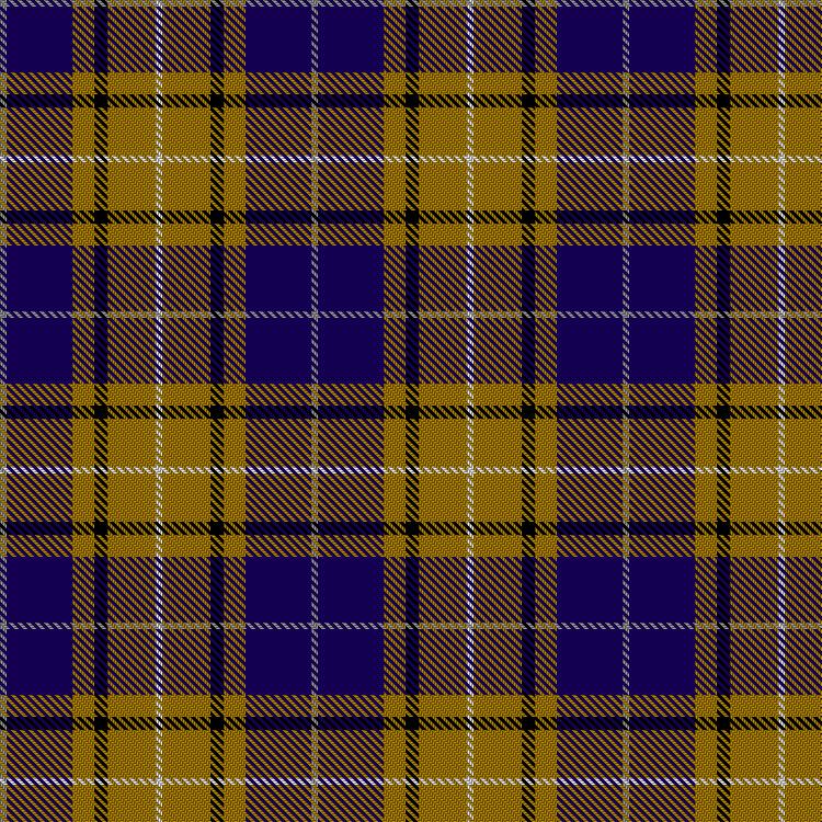 Tartan image: Eurodollar. Click on this image to see a more detailed version.