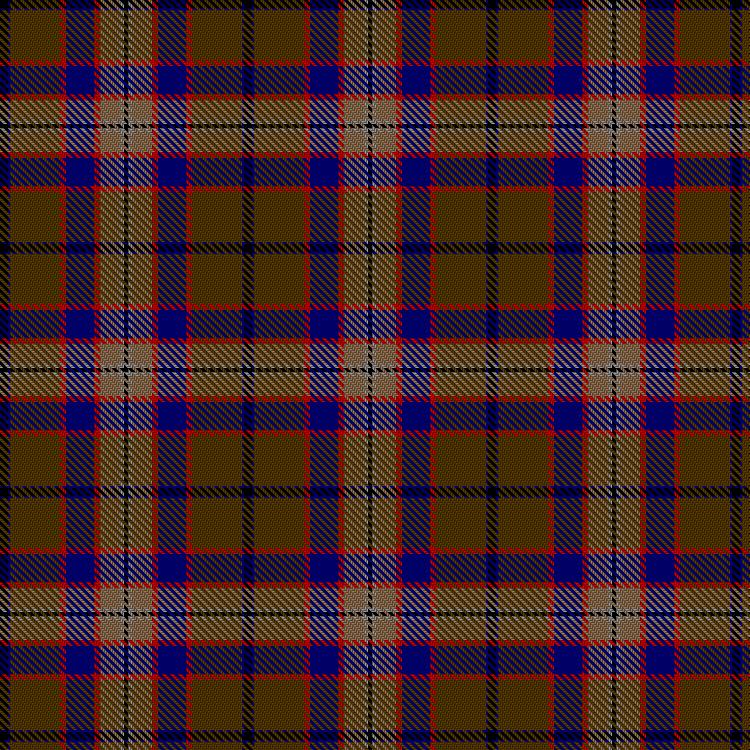 Tartan image: Texas Tan. Click on this image to see a more detailed version.