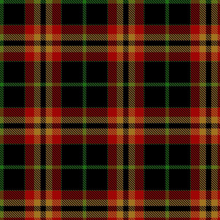 Tartan image: Bruhn, F & Family (Personal). Click on this image to see a more detailed version.