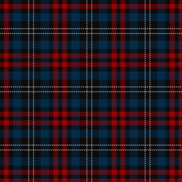Tartan image: Blaauw, Brian & Family (Personal). Click on this image to see a more detailed version.