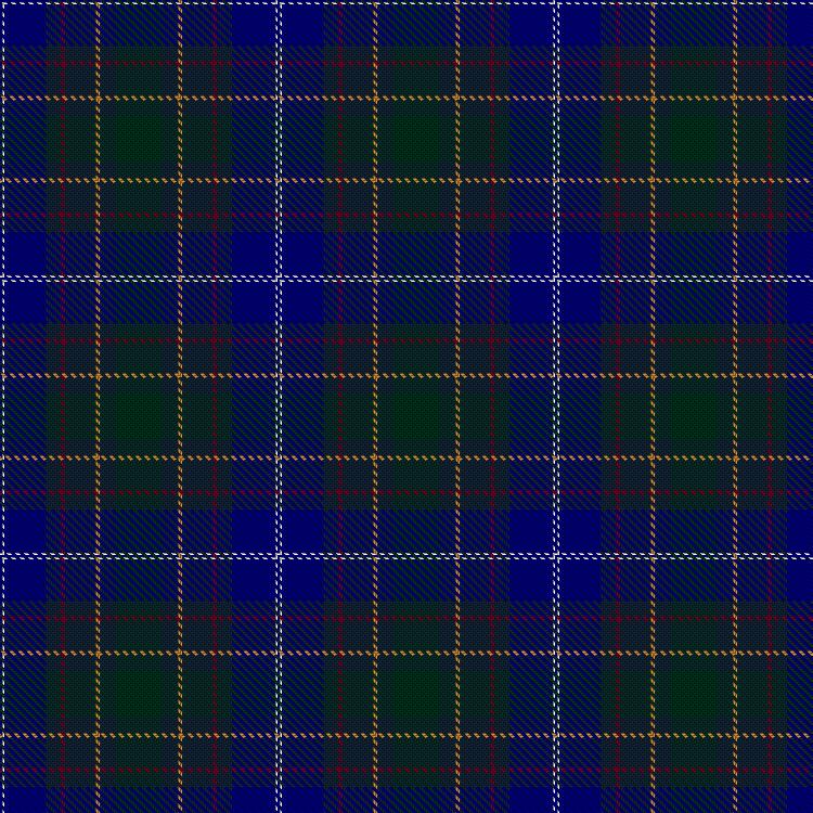 Tartan image: El-Erian, Anna & Family (Personal). Click on this image to see a more detailed version.