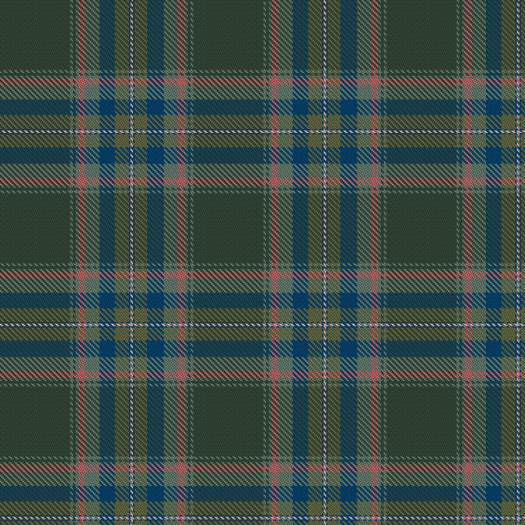 Tartan image: Jensen, R & A and Family (Personal). Click on this image to see a more detailed version.