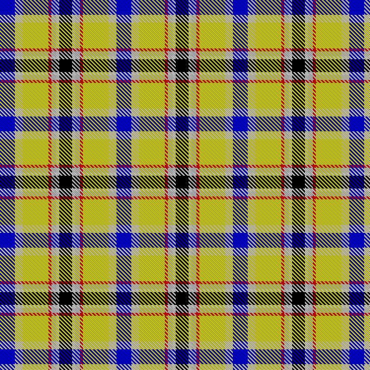 Tartan image: Johnson, Richard and Family (Personal). Click on this image to see a more detailed version.