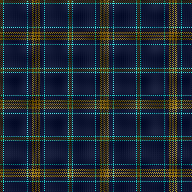 Tartan image: Carroll, R & Family (Personal). Click on this image to see a more detailed version.