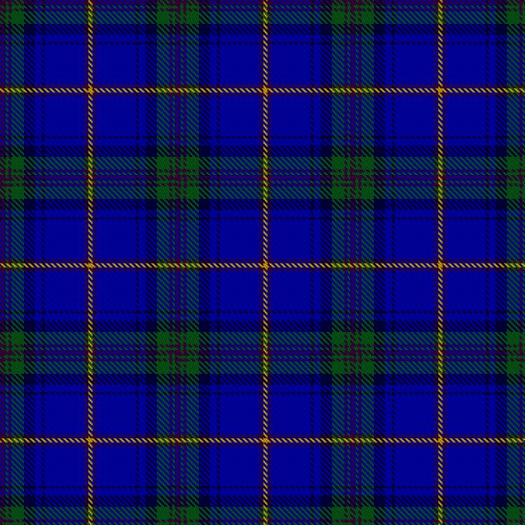 Tartan image: Bowes-Warrender, R L (Personal). Click on this image to see a more detailed version.