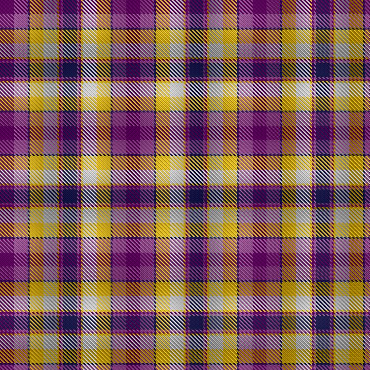 Tartan image: Holmes Care Group. Click on this image to see a more detailed version.